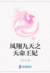 鳳翔九天之天命王妃