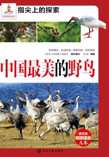 中國最美的野鳥