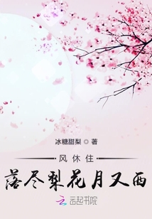 風(fēng)休住落盡梨花月又西