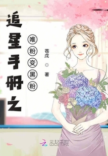 追星手冊(cè)之唯粉變黑粉