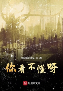 你看不懂呀