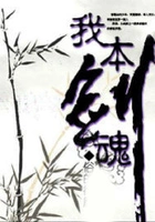 我本剑魂在线阅读