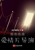 我真的是愛情片導演在線閱讀