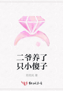 二爺養了只小傻子