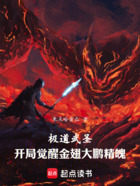 极道武圣:开局觉醒金翅大鹏精魄在线阅读