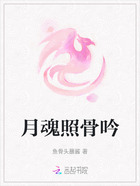 月魂照骨吟在线阅读