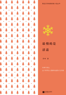最慢的是活著（魯迅文學(xué)獎(jiǎng)獲獎(jiǎng)?wù)咝≌f叢書）