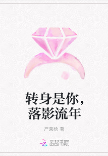 轉身是你，落影流年