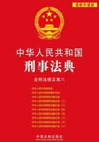 中华人民共和国刑事法典（2012年版）在线阅读