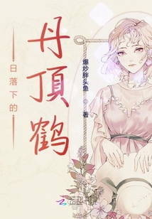 日落下的丹頂鶴