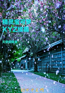 精靈寶可夢XYZ續(xù)篇