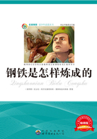 钢铁是怎样炼成的在线阅读