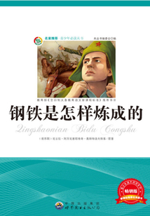 鋼鐵是怎樣煉成的