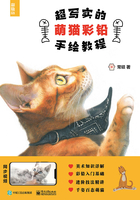 超写实的萌猫彩铅手绘教程在线阅读