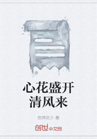 心花盛开清风来在线阅读