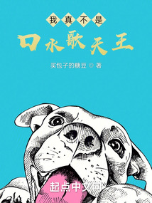 我真不是口水歌王