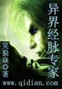 异界经脉专家