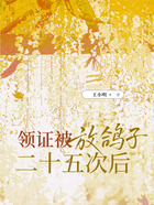 领证被放鸽子二十五次后在线阅读