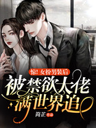 惊!女扮男装后被禁欲大佬满世界追在线阅读