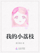 我的小荔枝在线阅读