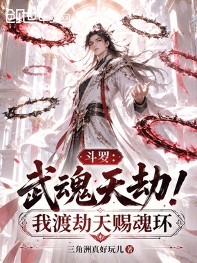 斗罗:武魂天劫!我渡劫天赐魂环在线阅读