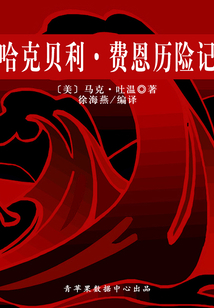 哈克貝利·費恩歷險記