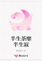 半生荼靡半生寂在線閱讀
