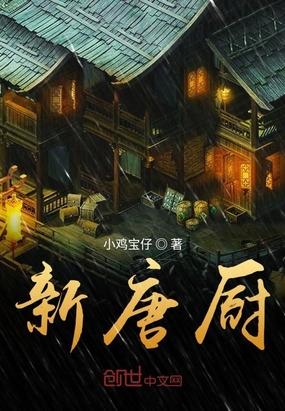 新唐厨在线阅读