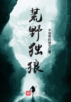 荒野獨(dú)狼在線閱讀