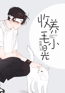 收養毛小晃