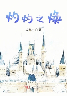 灼灼之焕