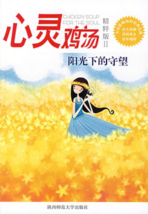 心靈雞湯2:陽(yáng)光下的守望(精粹版)
