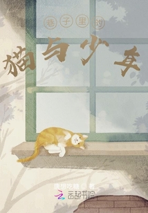 巷子里的貓與少年