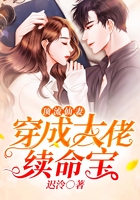 頂流仙妻：穿成大佬續(xù)命寶在線閱讀