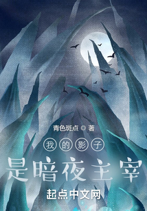 我的影子是暗夜主宰