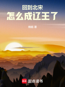 回到北宋，怎么成遼王了