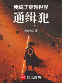 我成了穿越世界的通緝犯