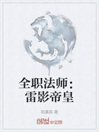 全职法师:雷影帝皇在线阅读