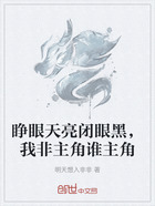 睁眼天亮闭眼黑，我非主角谁主角在线阅读