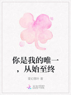 你是我的唯一,从始至终在线阅读