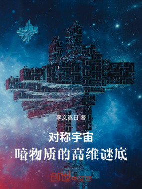 对称宇宙:暗物质的高维谜底在线阅读