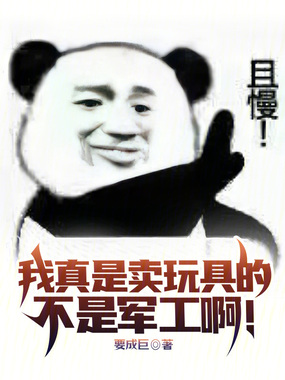 我真是卖玩具的，不是军工啊！在线阅读