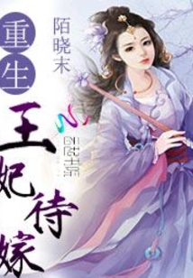 重生王妃再嫁