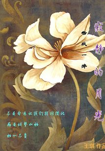 借我一捧寂靜的光