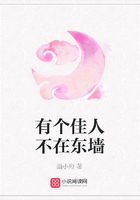 有個(gè)佳人不在東墻在線閱讀