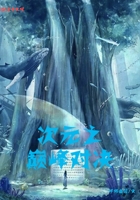 次元之巔峰對決在線閱讀