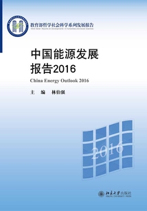中国能源发展报告2016