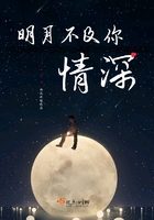 明月不及你情深在線閱讀