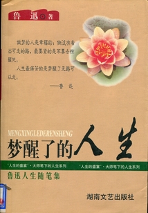 夢(mèng)醒了的人生