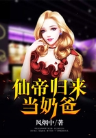 仙帝归来当奶爸在线阅读